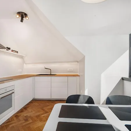 Apartment Contemporary 1-bedroom In Trnovo Ljubljana
