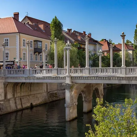 Contemporary 1-bedroom In Trnovo Appartement